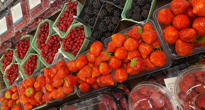 Самая полезная ягода для мозга — ученые поделились результатами своих исследований