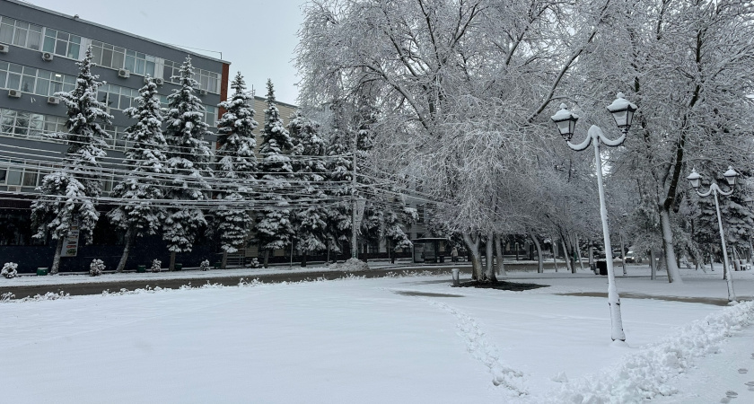 Прогноз погоды в России на конец октября-2025