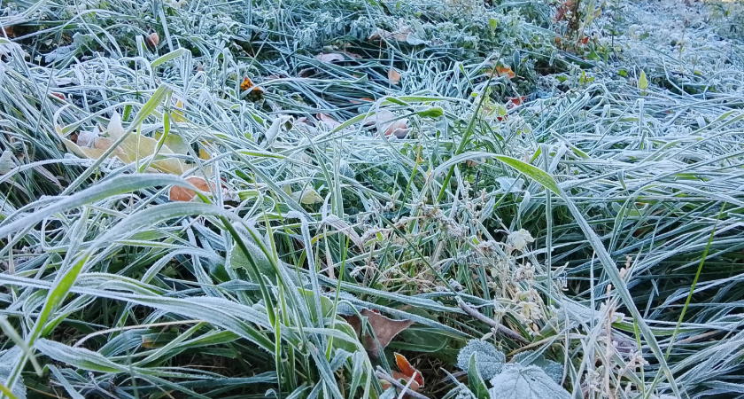 Запад Оренбуржья готовится к непогоде