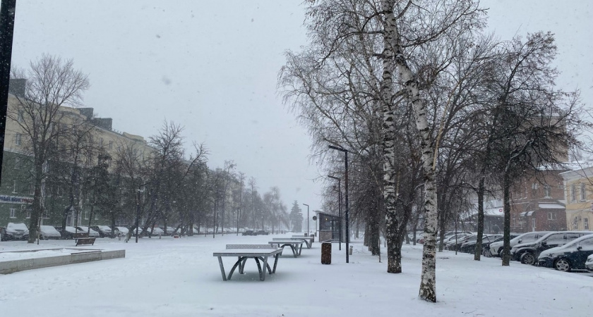 Прогноз погоды в России на ноябрь 2025