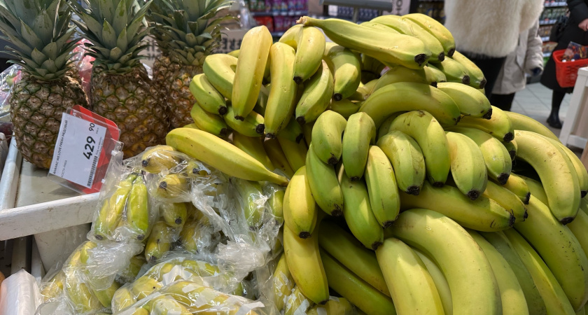 Проверка на нитраты яблок, бананов и картошки, купленных в «Магните»