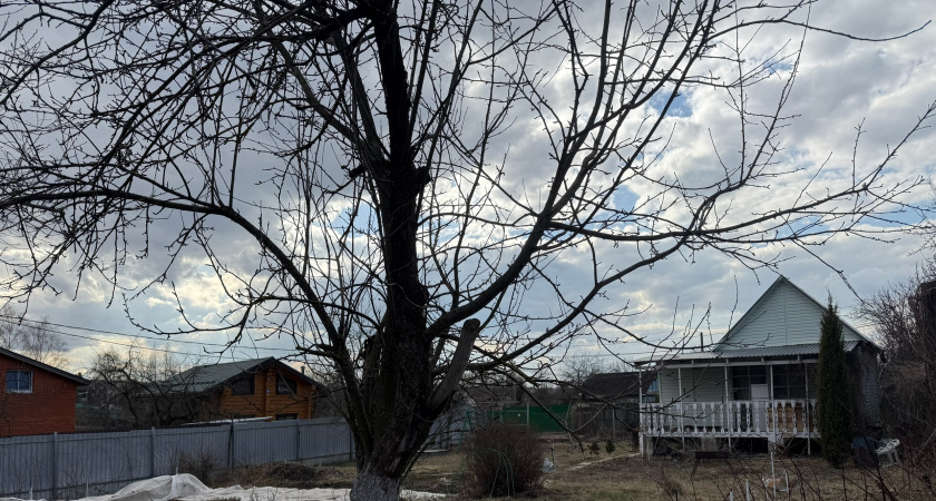 Осень в саду: как помочь растениям встретить зиму во всеоружии