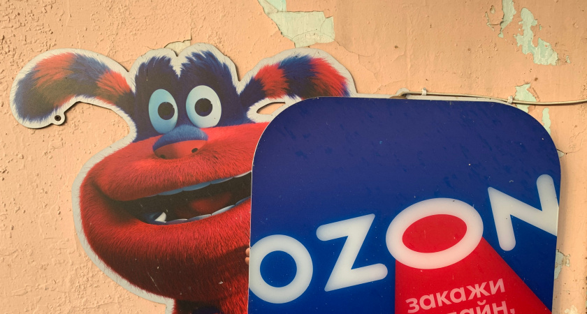 Покупка шкафа на «Озоне»: опыт заказа по индивидуальным размерам за скромную цену