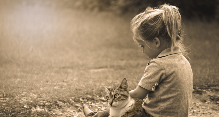 Белла — происхождение, значение и особенности характера имени