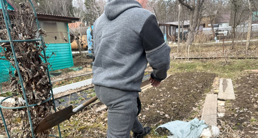 Как подготовить сад к зиме — важнейшие осенние работы 