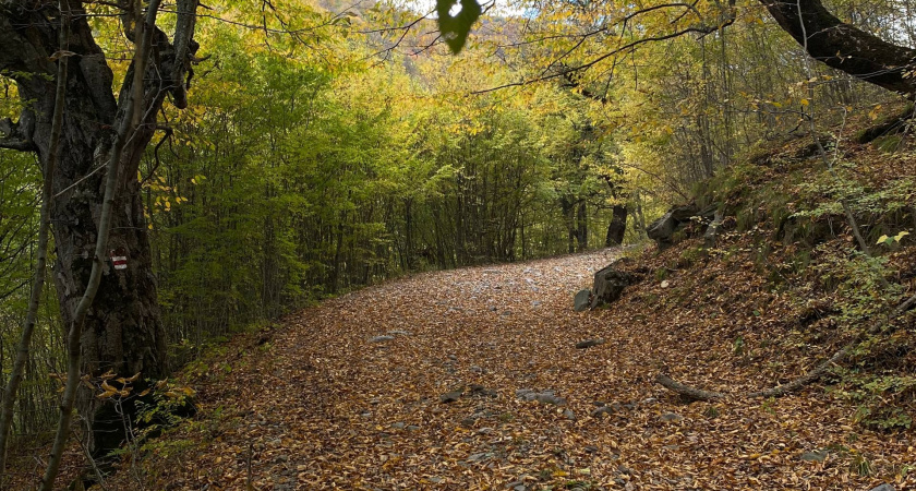 В Оренбуржье выявили почти 300 нарушений правил охоты за сезон