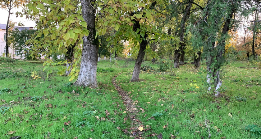 В Оренбуржье начался сезон охоты