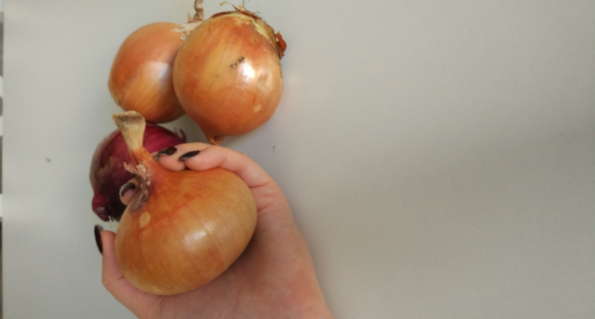 Осенняя посадка лука‑севка — как получить урожай на месяц раньше