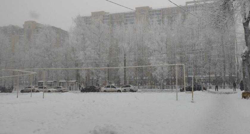 Ноябрь 2025: какой будет погода в регионах России — прогноз метеорологов