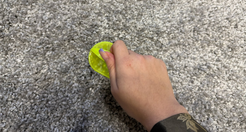 Как привести ковер в идеальное состояние — методика от опытной хозяйки