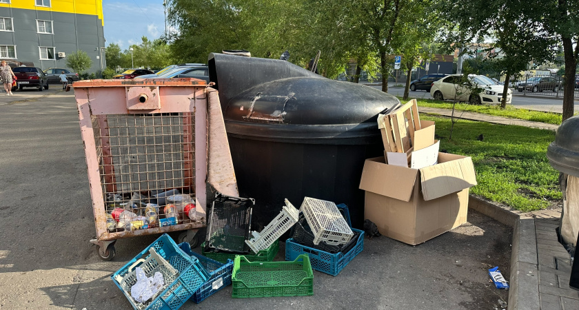 В Медногорске суд заставил власти убрать горы мусора с городских территорий