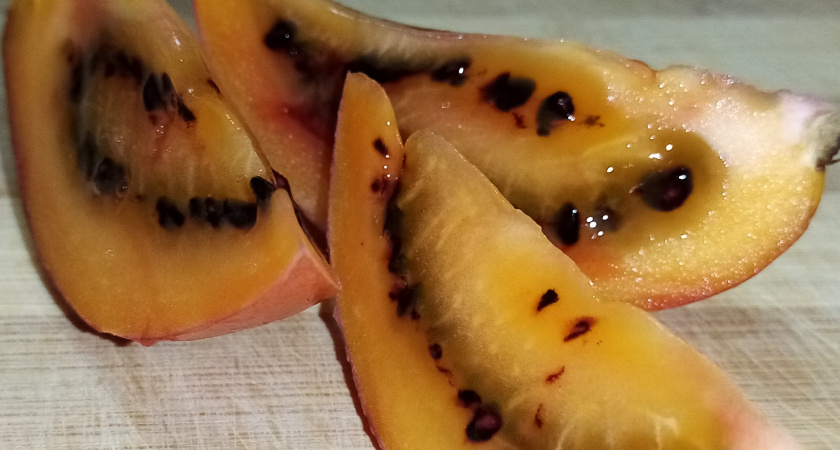 Тамарилло — стоит ли пробовать экзотический фрукт