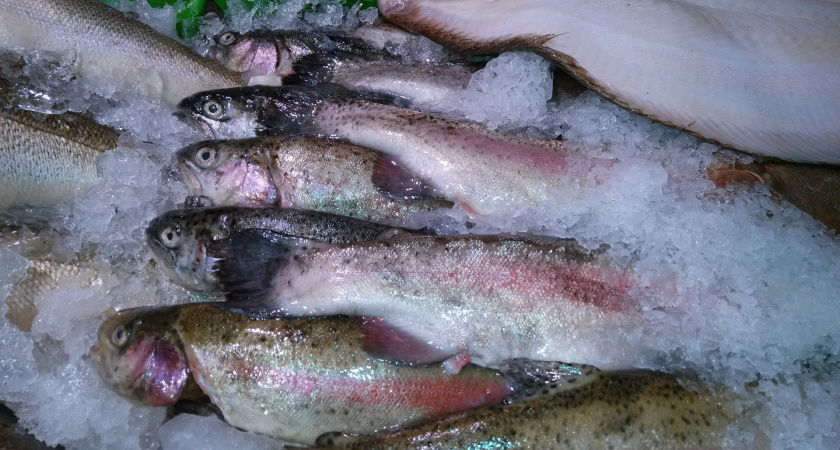 Покупка форели с красной икрой на рынке — стало жаль потраченных денег
