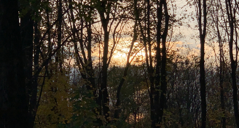 Сезон лесных пожаров в Оренбуржье официально закрыт