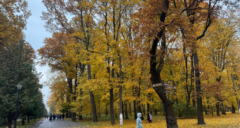 Необычное тепло задерживается в Оренбургской области