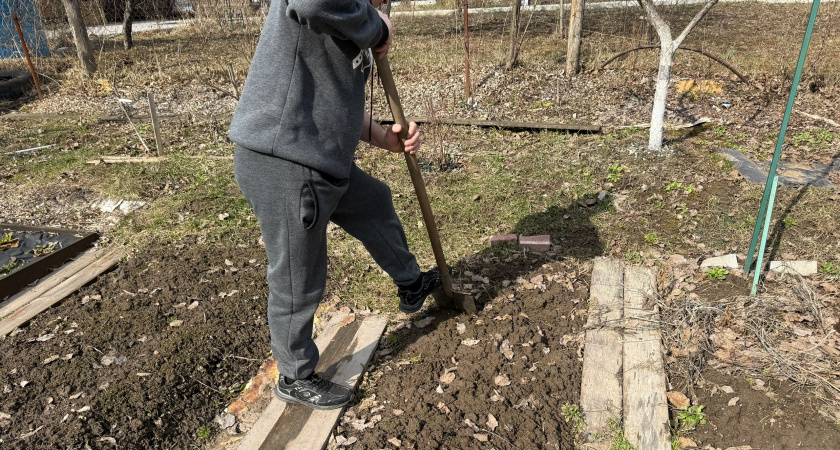 Ноябрь в огороде — посев овощей и подготовка участка к зиме