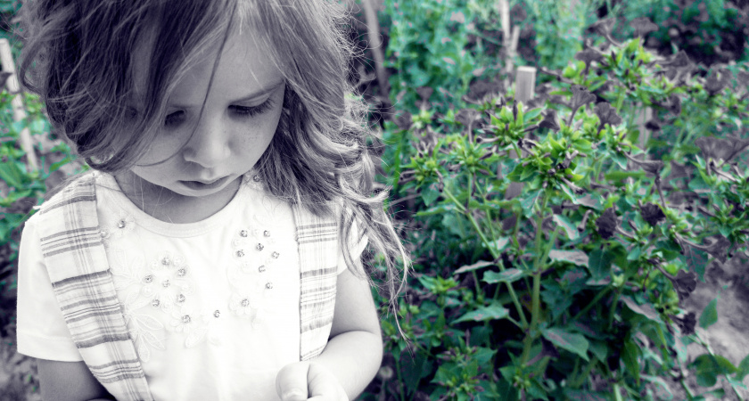 Особенности имени Миранда — стоит ли называть так дочь