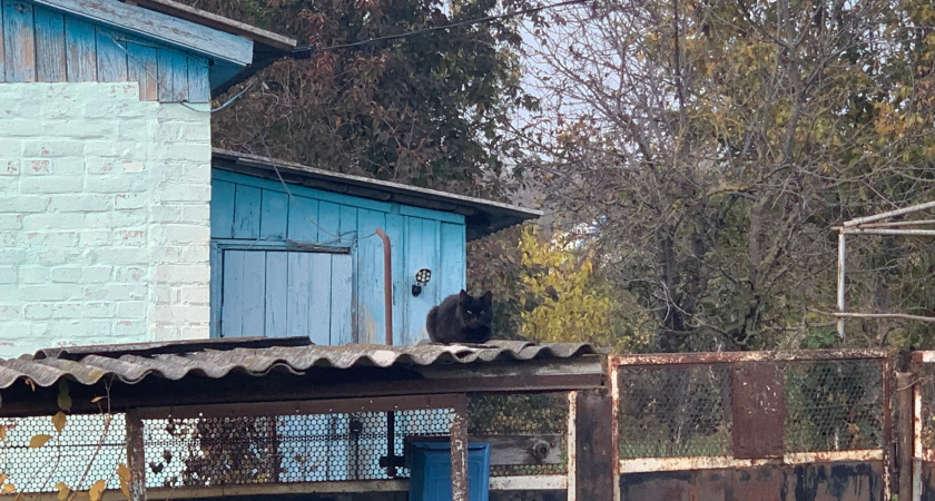 Тутаев — город, внушающий разочарование и безнадежность