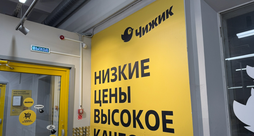 Новинки в «Чижике»: обзор свежих поступлений за неделю