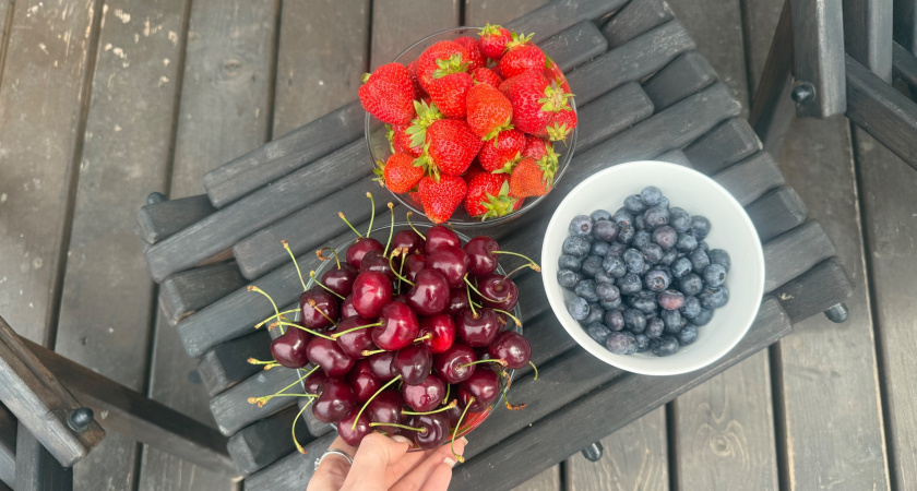 Зимостойкие сорта черешни — как вырастить южную ягоду в прохладном климате