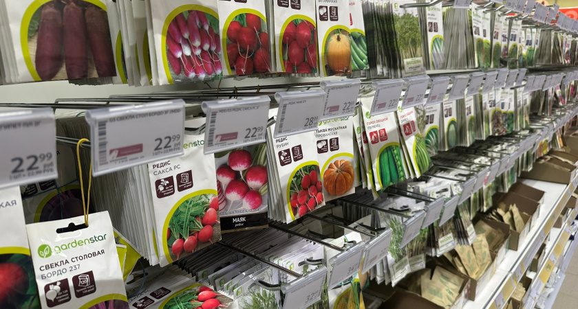 Какие культуры можно посадить на огороде в ноябре