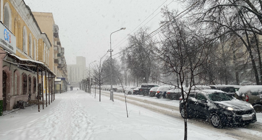 Зима в Центральной России в преддверии 2026 наступит позже обычного