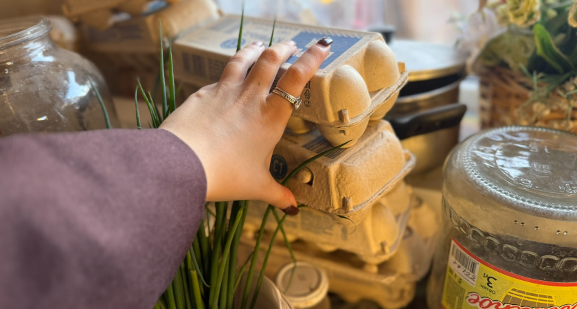 Простой способ посадки моркови под зиму с помощью яичных лотков