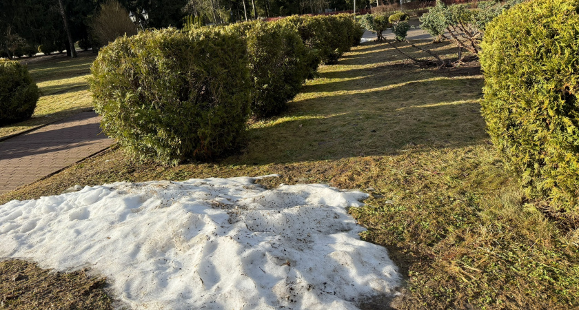 Какой будет зима 2025–2026 в России