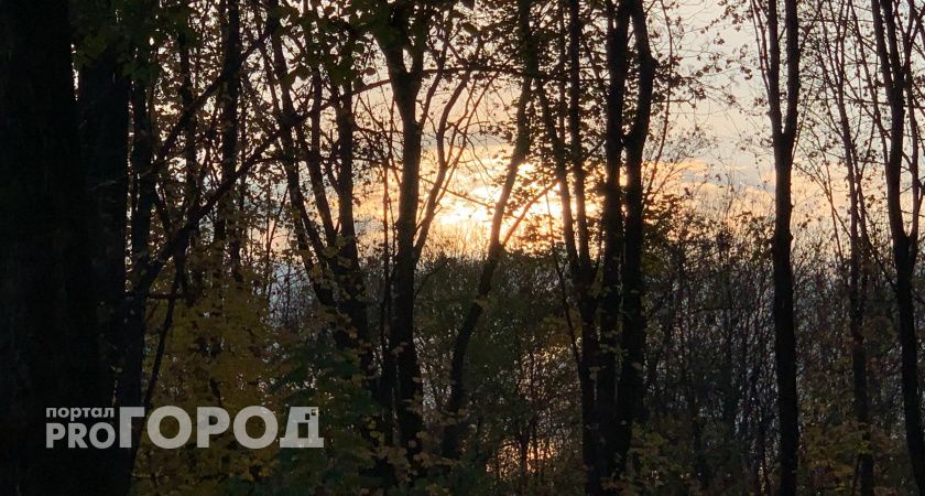 В Кувандыке высадят 25 голубых елей ко Дню матери