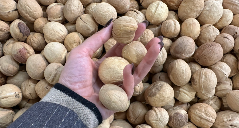 Ученые назвали самый полезный из орехов: не миндаль, не арахис и в три раза полезнее грецкого