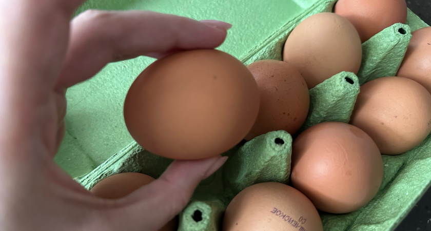 Зачем наши бабушки закапывали в огороде яйца: эффективный трюк, который в 100 раз лучше удобрений