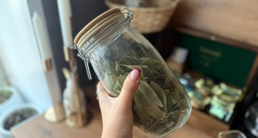 С первыми заморозками кладу лист лавра на батарею — и живу без бед: вот что происходит — вся семья замечает разницу