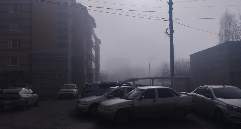 В Оренбуржье вместо зимы властвуют туманы