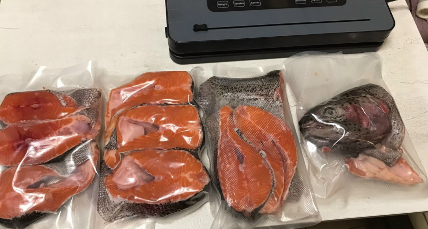 Ученые назвали самую полезную рыбу — не форель, не щука и в 100 раз полезнее сельди