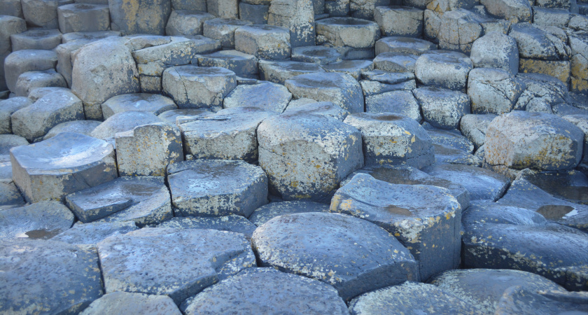 В Оренбуржье выявили более 300 недостоверных деклараций на зерно