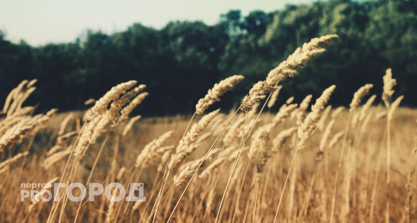 В Орске продолжают расследовать дело о прорыве дамбы весной 2024 года