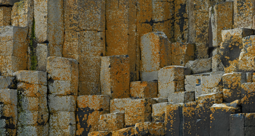 Ростехнадзор назвал причины обрушения орской дамбы: мыши ни при чём