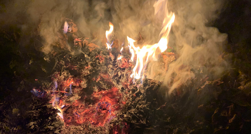 Пять пожаров за сутки произошли в Оренбургской области