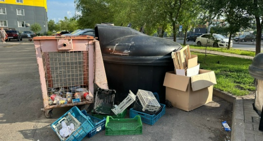 «Ни пройти, ни проехать»: как контейнерная площадка захватила территории не принадлежавшие ей