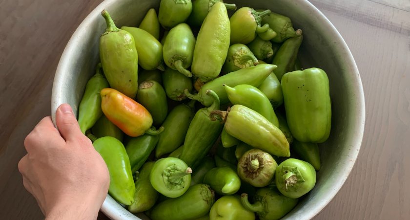 17,4 тонны перца из Узбекистана с молью не пустили в Оренбуржье 