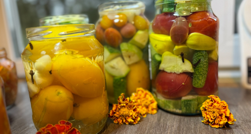 Сею сладкий жёлтый томат "Чудо лентяя" — муж его обожает, не заболел ни разу