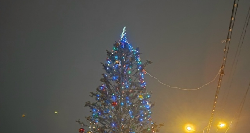 «Северо-Восточный район останется без ёлки»: жители Оренбурга ждут, когда же у них появится зимняя красавица