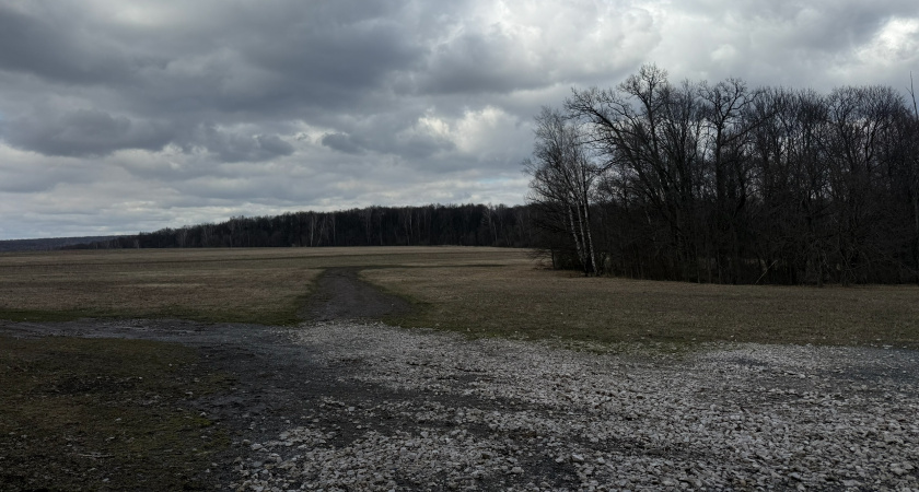 В Оренбургской области обнаружили древние украшения в зверином стиле