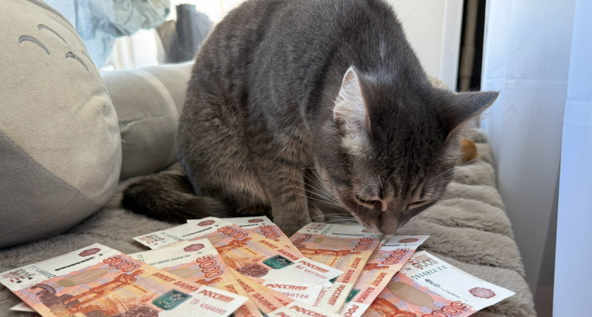 В Оренбургской области вычислили 5 черных кредиторов