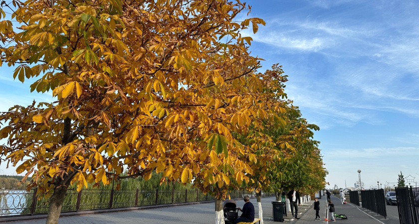 В Оренбурге состоялось награждение победителей конкурса «Волшебное перо»