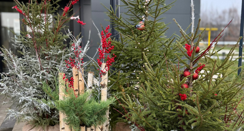 Солнцев вступился за Центральный рынок Оренбурга