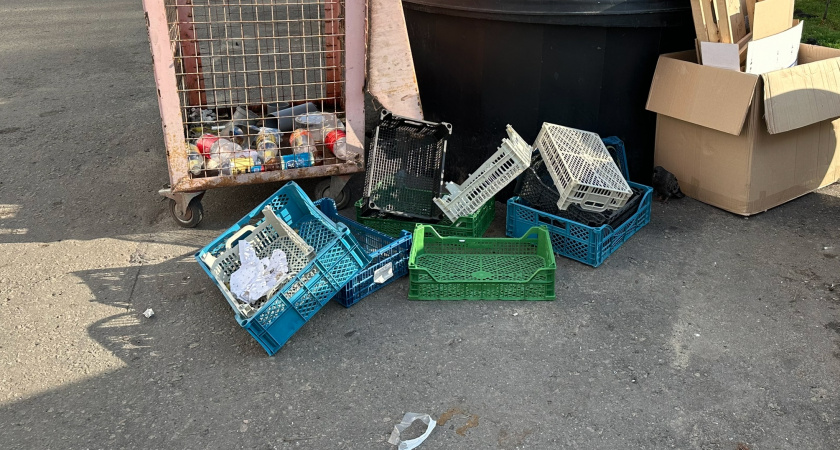 Четыре села в Бугурусланском районе наконец получат контейнерные площадки