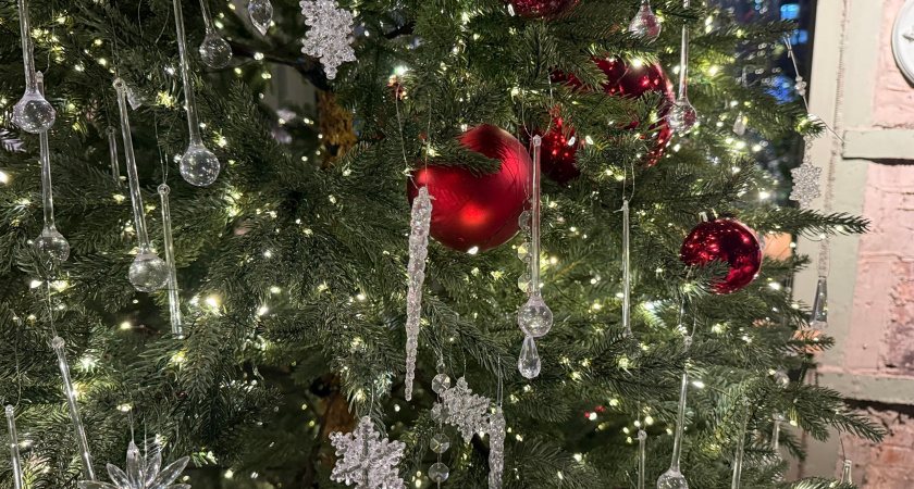 Главная новогодняя елка Оренбурга в сквере Гагарина откроется 26 декабря