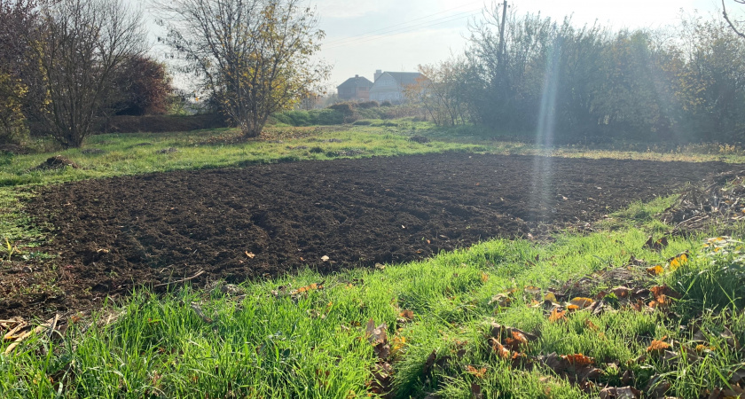 За неухоженный огород в Оренбуржье могут выписать штраф до 700 тысяч