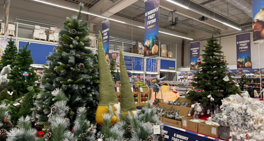 Подъехал в "Чижик" новогодний ассортимент: ажиотаж зашкаливает, приходится брать тележку - выбираю мандариновые дольки 